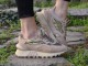 874-6076 / BEIGE & OLIVE