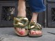 TERCOR / OLIVE