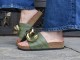 TERCOR / OLIVE