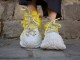 M111 / LIGHT YELLOW